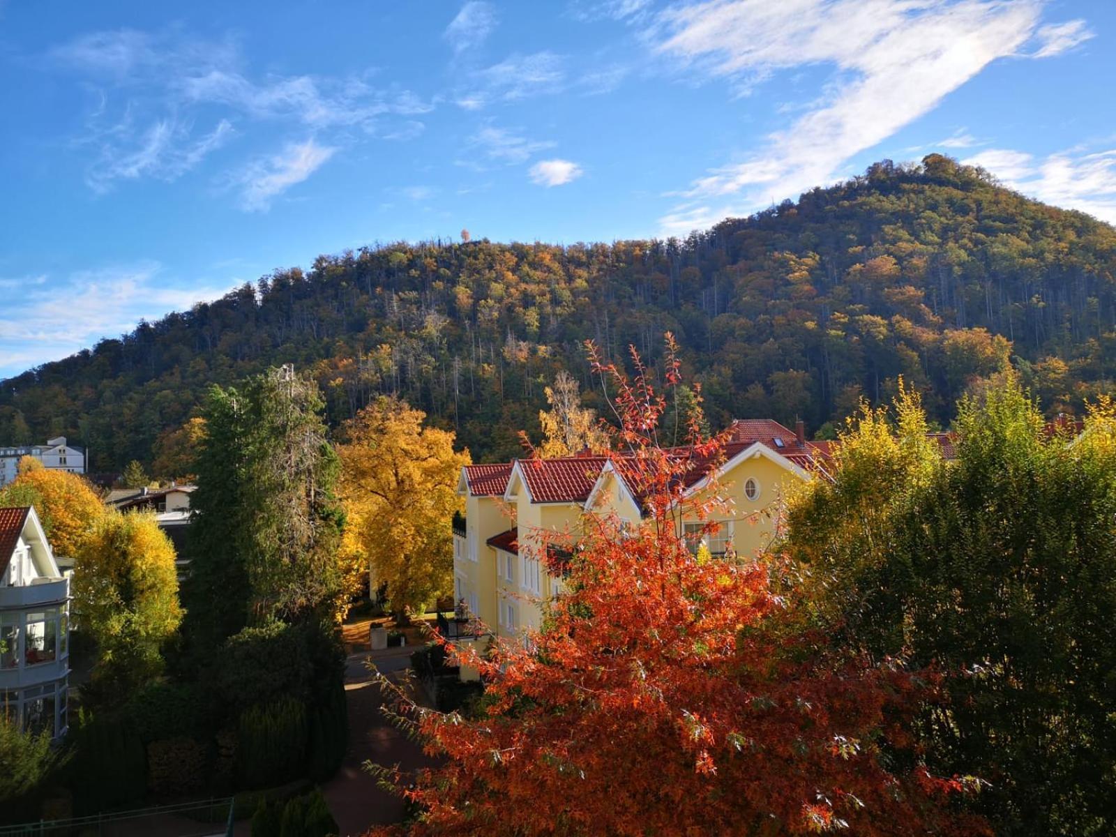 Apartamento Bergliebe Bad Harzburg Exterior foto